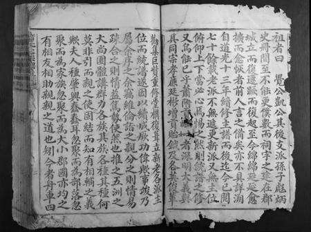 江西萧氏族谱-萧氏大宗祠主谱.pdf电子版预览图2