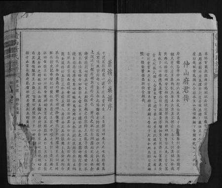 江西萧氏族谱-赣南萧氏族谱.pdf电子版预览图5