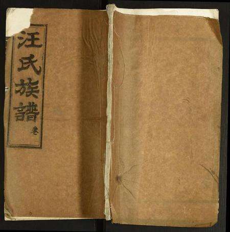 中国汪氏族谱-汪氏宗谱.pdf电子版缩略图