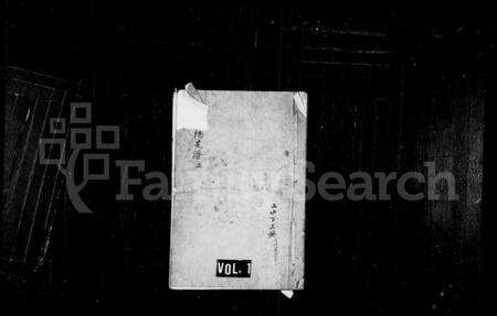 江苏汪氏族谱-平阳支谱.pdf电子版缩略图