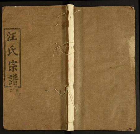 湖北汪氏族谱-汪氏宗谱.pdf电子版缩略图