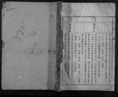 江西谢氏族谱-东山谢氏三修族谱.pdf电子版缩略图