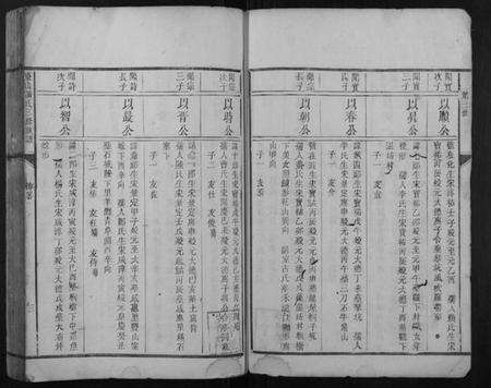 江西谢氏族谱-东山谢氏三修族谱.pdf电子版预览图3