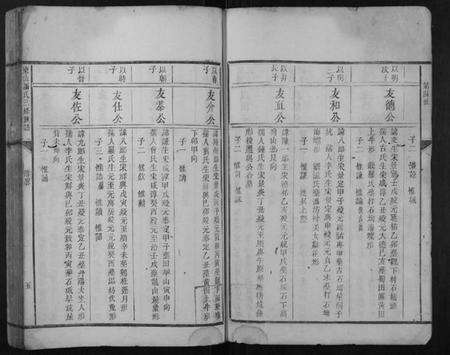 江西谢氏族谱-东山谢氏三修族谱.pdf电子版预览图5