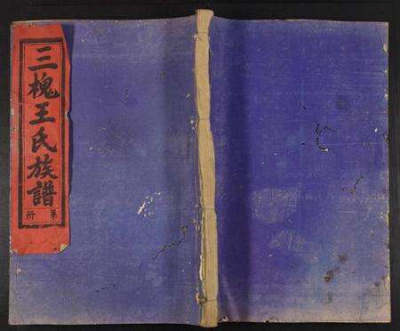 中国王氏族谱-三槐王氏族谱.pdf电子版缩略图