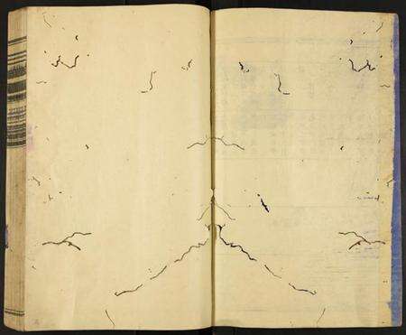 中国王氏族谱-三槐王氏族谱.pdf电子版预览图1