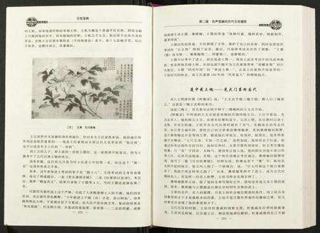 中国王氏族谱-王姓宝典.pdf电子版预览图3