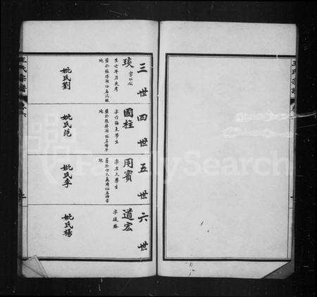 中国王氏族谱-王氏宗谱.pdf电子版预览图2