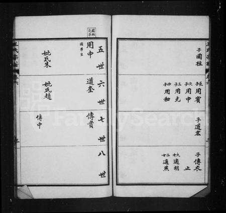 中国王氏族谱-王氏宗谱.pdf电子版预览图3
