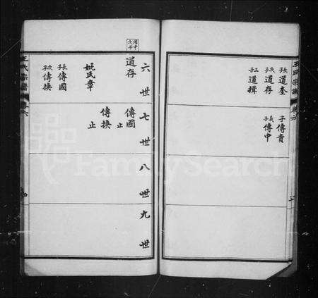 中国王氏族谱-王氏宗谱.pdf电子版预览图4