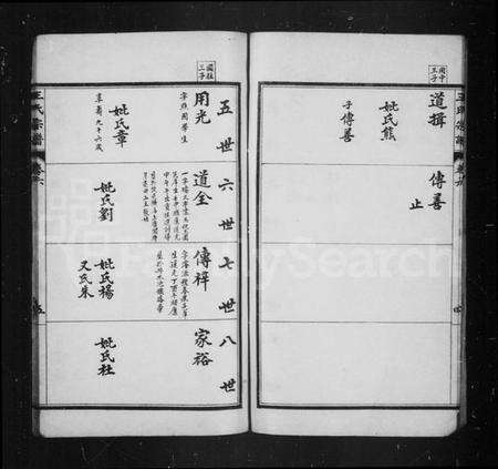 中国王氏族谱-王氏宗谱.pdf电子版预览图5