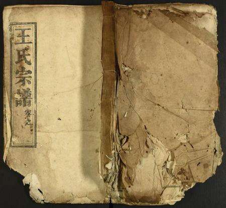 中国王氏族谱-王氏家谱.pdf电子版缩略图