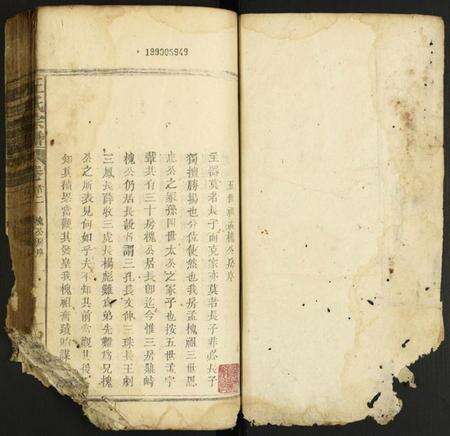 中国王氏族谱-王氏家谱.pdf电子版预览图1