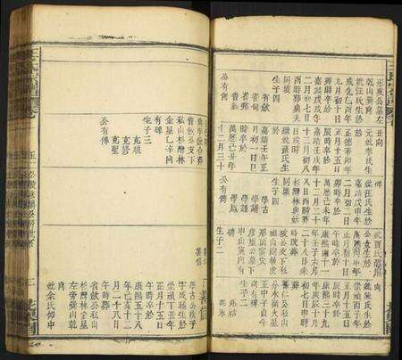 中国王氏族谱-王氏族谱.pdf电子版预览图2