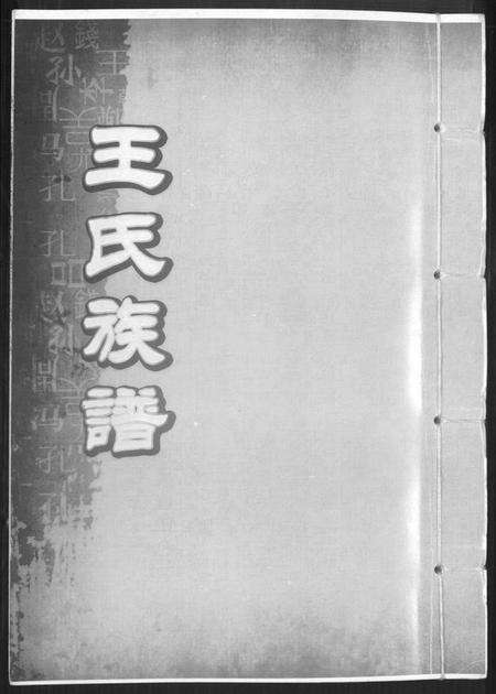 中国王氏族谱-王氏族谱.pdf电子版缩略图