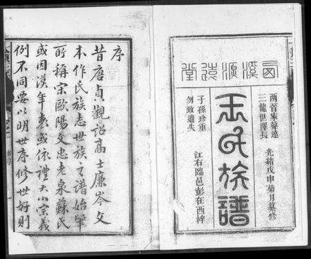 中国王氏族谱-王氏族谱.pdf电子版预览图2