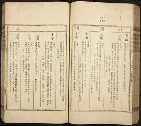 中国王氏族谱-王氏族谱 [残卷].pdf电子版预览图2