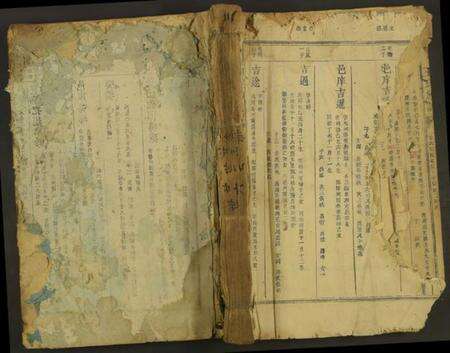 中国王氏族谱-王氏族谱 [残卷].pdf电子版缩略图