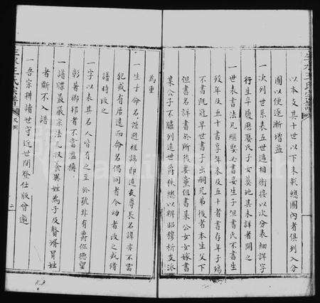 中国王氏族谱-生水王氏宗谱 [8卷].pdf电子版预览图4