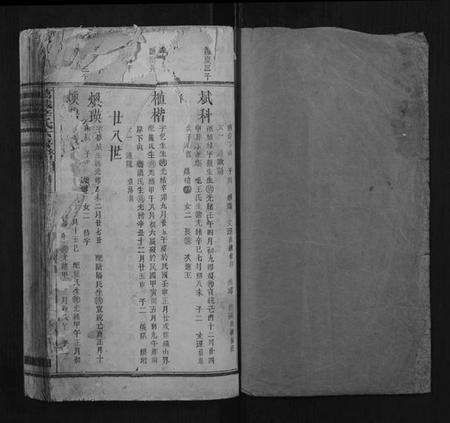 江西辛氏族谱-万载辛氏房谱.pdf电子版预览图1
