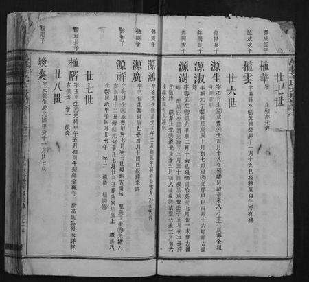江西辛氏族谱-万载辛氏房谱.pdf电子版预览图3