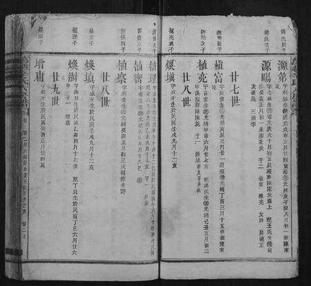 江西辛氏族谱-万载辛氏房谱.pdf电子版预览图5