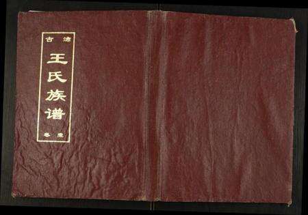 江苏王氏族谱-古沛王氏族谱.pdf电子版缩略图