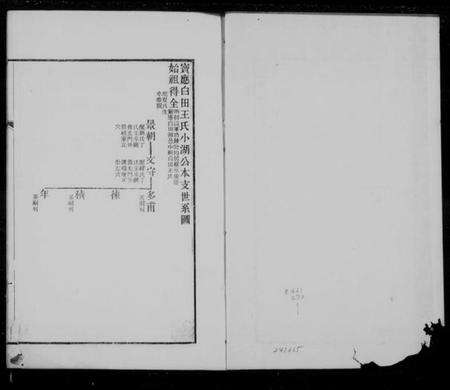 江苏王氏族谱-宝应白田王氏小湖公本支世系图.pdf电子版缩略图