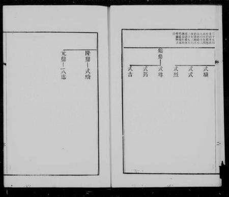 江苏王氏族谱-宝应白田王氏小湖公本支世系图.pdf电子版预览图2