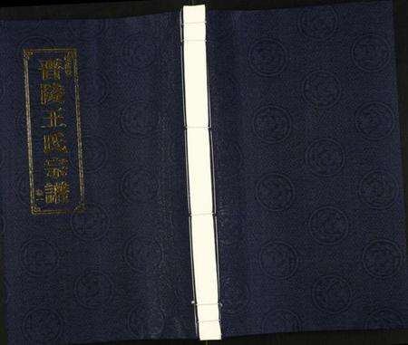 江苏王氏族谱-晋陵王氏宗谱.pdf电子版缩略图