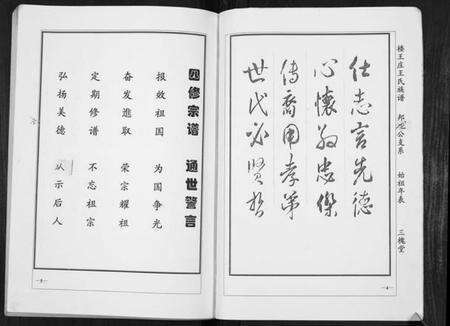 江苏王氏族谱-楼王庄王氏族谱[不分卷].pdf电子版预览图3