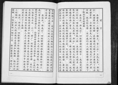 江苏王氏族谱-楼王庄王氏族谱[不分卷].pdf电子版预览图4