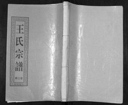 江苏王氏族谱-王氏宗谱.pdf电子版缩略图