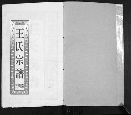 江苏王氏族谱-王氏宗谱.pdf电子版预览图1