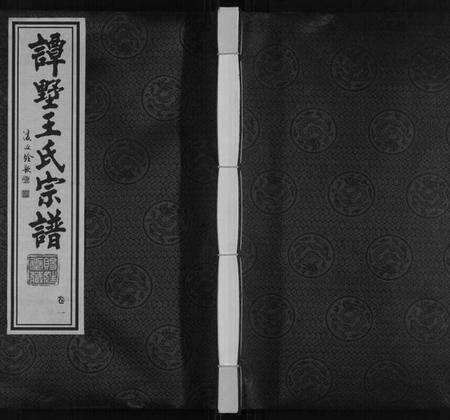 江苏王氏族谱-王氏宗谱.pdf电子版缩略图