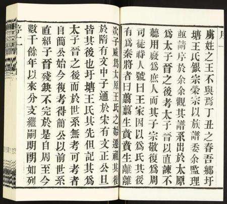 江苏王氏族谱-王氏宗谱.pdf电子版预览图2
