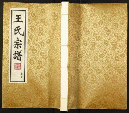 江苏王氏族谱-王氏宗谱.pdf电子版缩略图