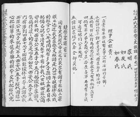 江苏王氏族谱-王氏宗谱[不分卷].pdf电子版预览图3