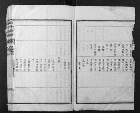 江苏王氏族谱-王氏家乘.pdf电子版预览图3