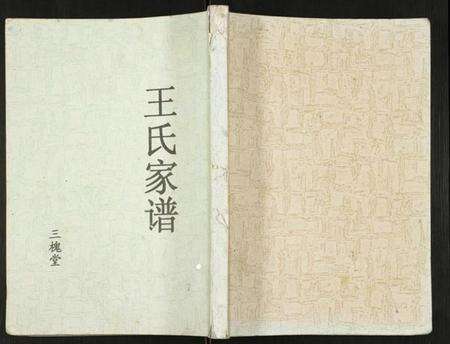 江苏王氏族谱-王氏家谱.pdf电子版缩略图