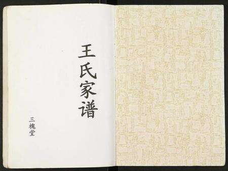 江苏王氏族谱-王氏家谱.pdf电子版预览图1