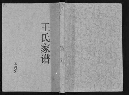 江苏王氏族谱-王氏家谱.pdf电子版缩略图