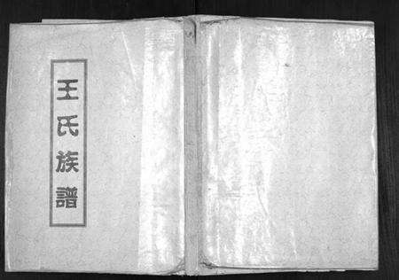 江苏王氏族谱-王氏族谱[不分卷].pdf电子版缩略图