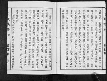 江苏王氏族谱-王氏族谱[不分卷].pdf电子版预览图3
