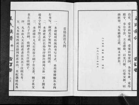 江苏王氏族谱-王氏族谱[不分卷].pdf电子版预览图4