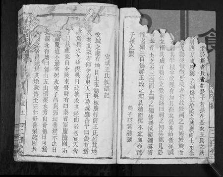 江苏王氏族谱-王氏族谱[不分卷].pdf电子版预览图5