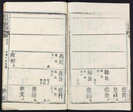 湖北王氏族谱-王氏族谱[9卷首2卷].pdf电子版预览图2