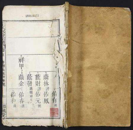 湖北王氏族谱-团溪王氏民分宗谱.pdf电子版缩略图