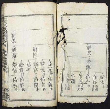 湖北王氏族谱-团溪王氏民分宗谱.pdf电子版预览图1