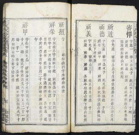湖北王氏族谱-团溪王氏民分宗谱.pdf电子版预览图3